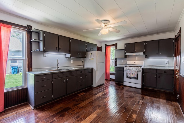 616 N Pleasant St, Princeton, IL 61356 - kitchen featuring white appliances, a sink, under cabinet range hood, and dark wood-type flooring