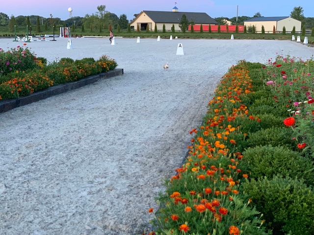 view of water feature