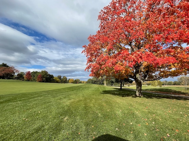 view of home's community featuring a lawn