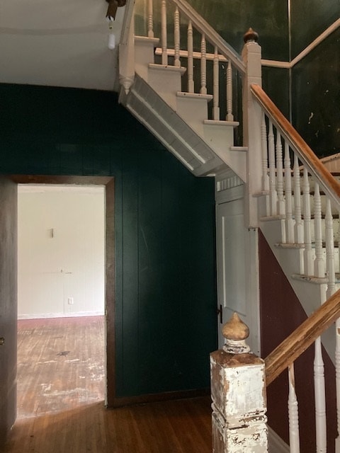 stairway with dark hardwood / wood-style flooring