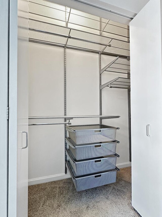 spacious closet with carpet floors