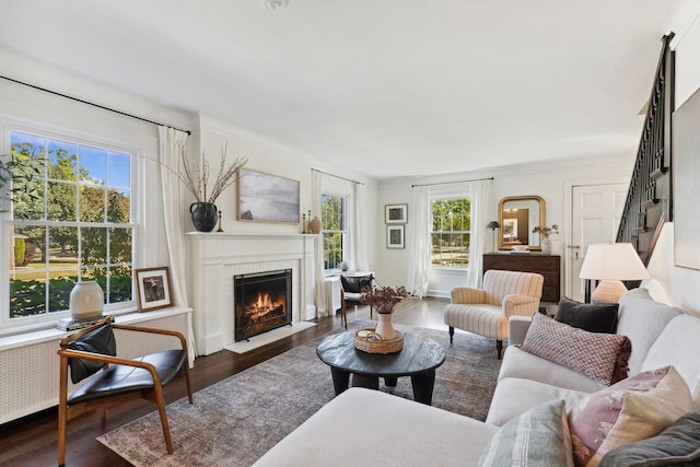 298 Dickens St, Northfield, IL 60093 - living room featuring dark wood-style flooring and a fireplace