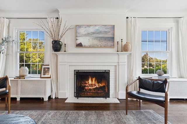 298 Dickens St, Northfield, IL 60093 - sitting room with a fireplace, wood finished floors, ornamental molding, and radiator heating unit