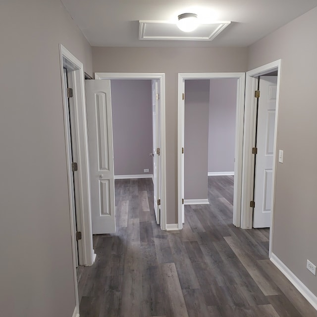 hallway featuring dark wood-type flooring