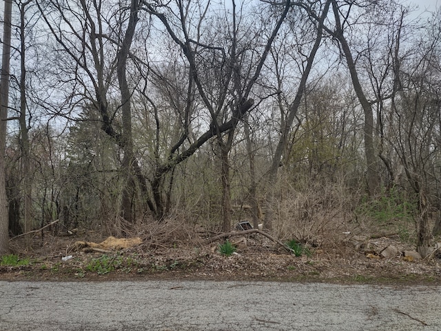 40540 N Minena St, Antioch IL, 60002 land for sale