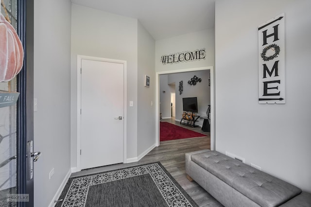 foyer entrance featuring hardwood / wood-style floors