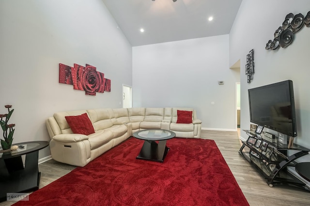 living room featuring high vaulted ceiling and light hardwood / wood-style flooring