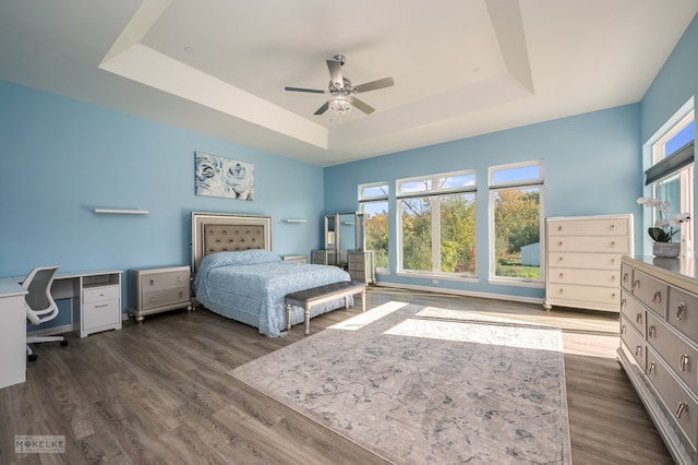 bedroom featuring ceiling fan, dark hardwood / wood-style flooring, and a tray ceiling