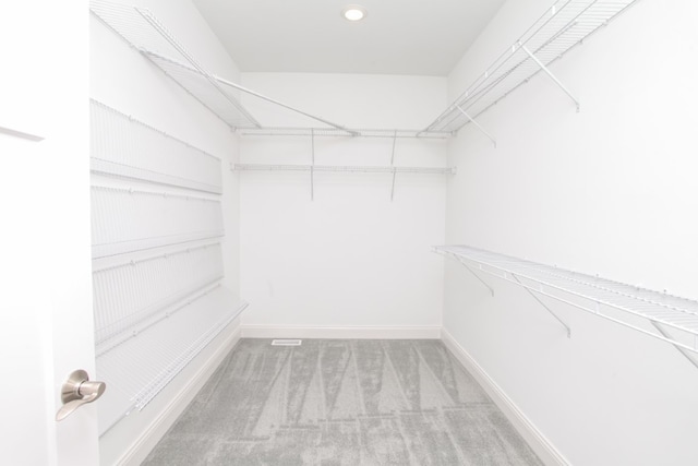 spacious closet with carpet