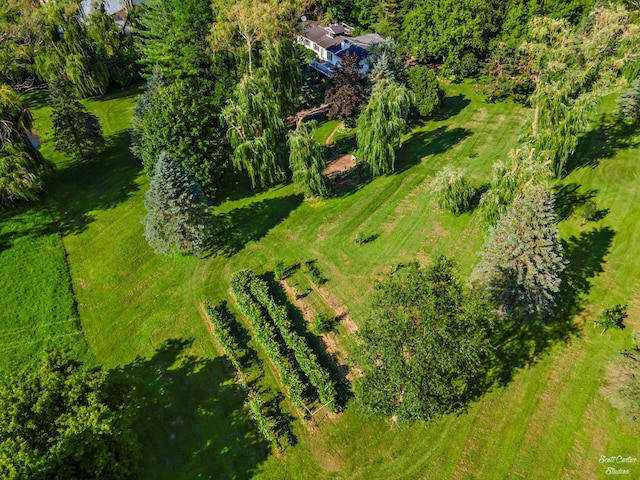 drone / aerial view with a rural view