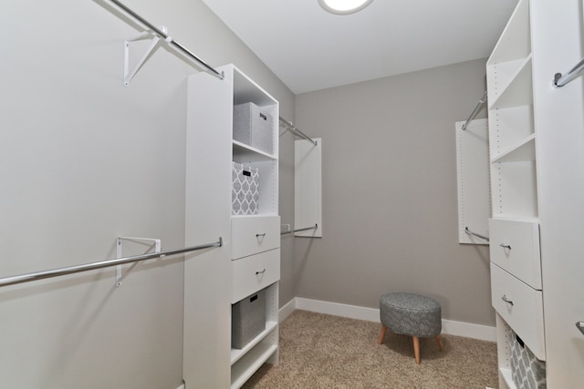 spacious closet with light colored carpet