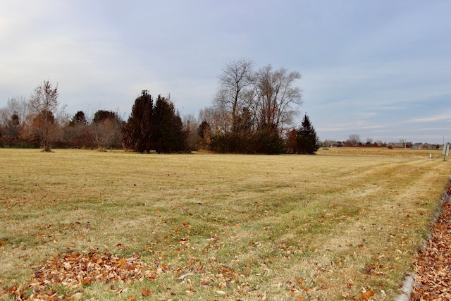 1180 Lakewood Dr, Morris, IL 60450 - photo 4