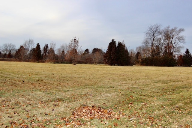 1180 Lakewood Dr, Morris, IL 60450 - photo 5