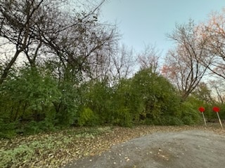 Listing photo 3 for LOT3 Mc Donald Ave, West Chicago IL 60185