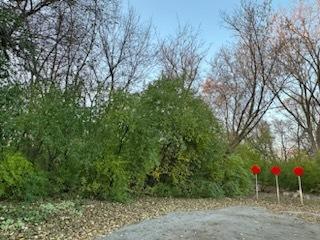 LOT3 Mc Donald Ave, West Chicago, IL 60185 - photo 4