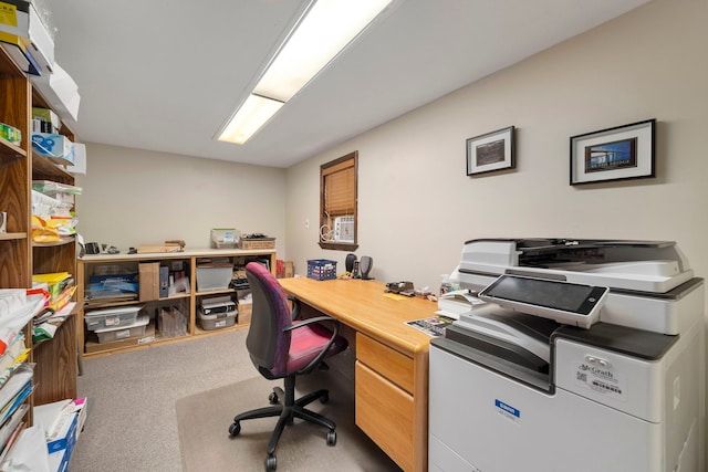 office space featuring carpet floors