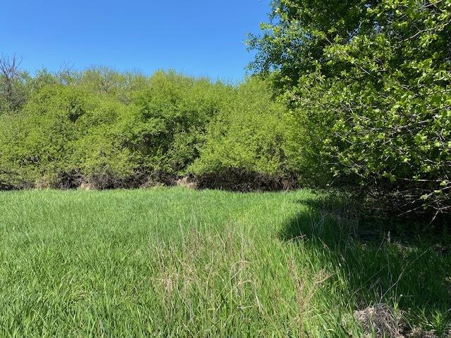 25915 W Cuba Rd, Barrington, IL 60010 - photo 8