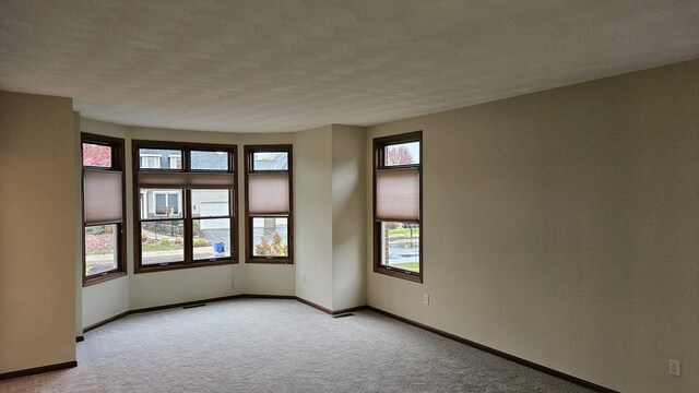 unfurnished room with light carpet, plenty of natural light, and a textured ceiling