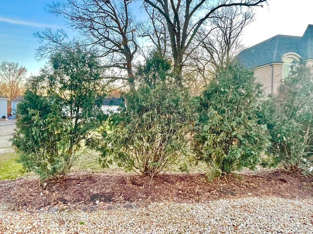 17W231 Red Oak St, Bensenville, IL 60106 - photo 3