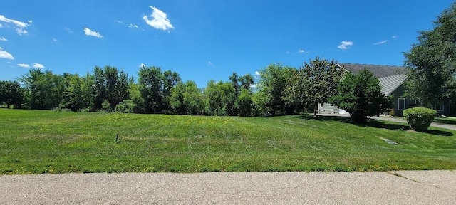9140 Selkirk Ct, Lakewood, IL 60014 - photo 4