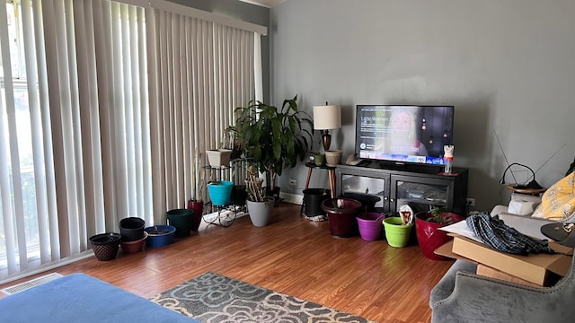 living room with hardwood / wood-style flooring