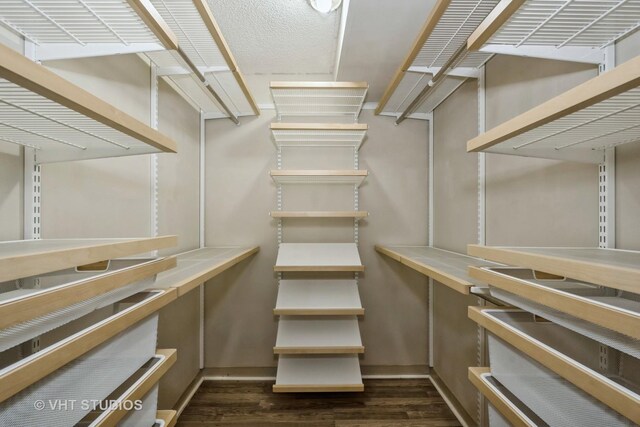 spacious closet featuring dark wood-type flooring