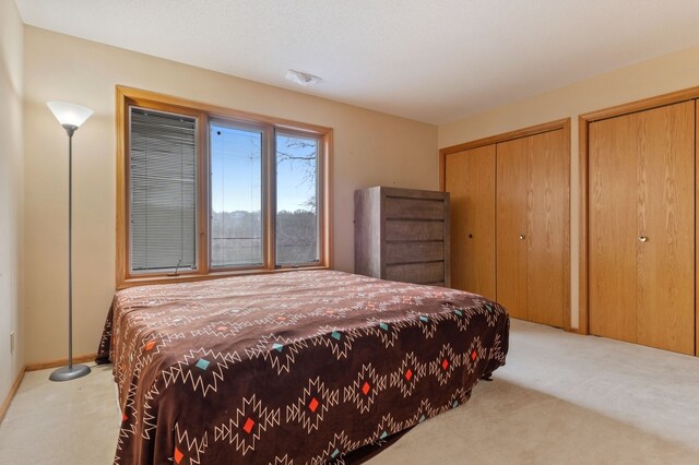 1210 Lakeridge Ct, Danville, IL 61832 - carpeted bedroom with two closets and baseboards