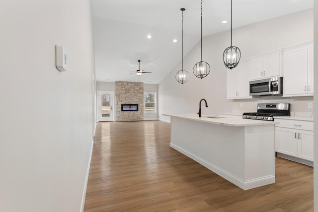 kitchen with sink, stainless steel appliances, light hardwood / wood-style flooring, and a stone fireplace