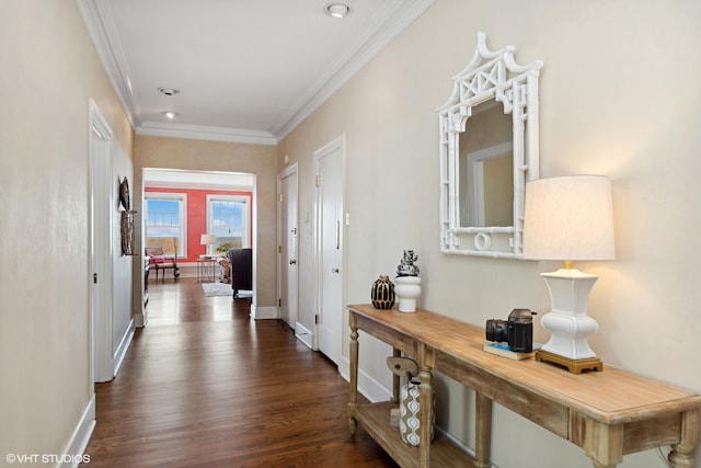 corridor featuring crown molding and dark wood-type flooring