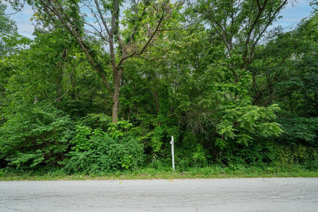6N688 Tuscola Ave, Saint Charles, IL 60174 - photo 2