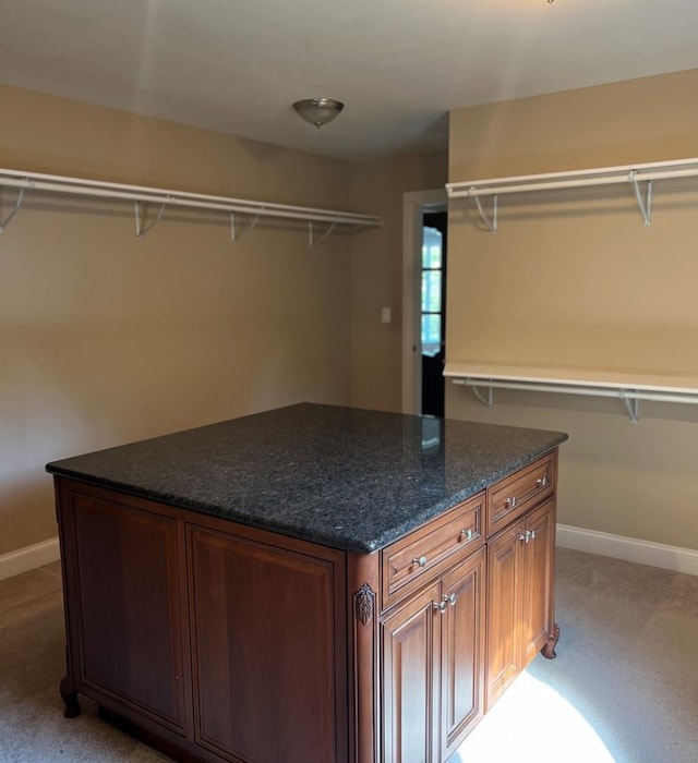 walk in closet with light colored carpet