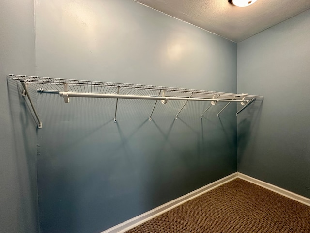 walk in closet with carpet