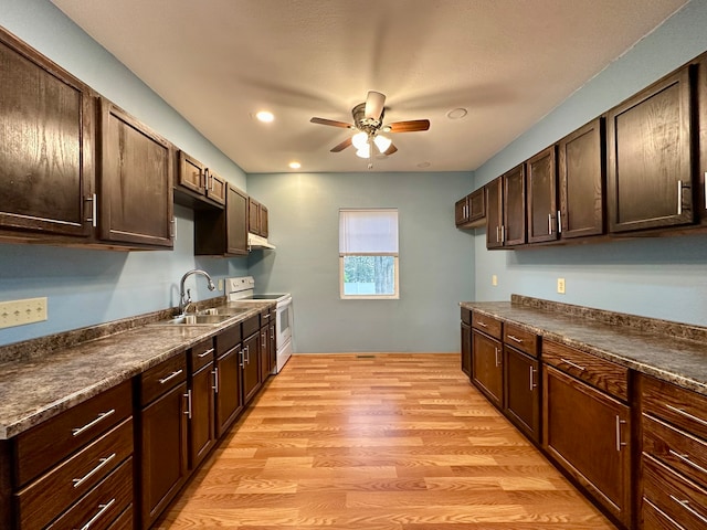 kitchen featuring light hardwood / wood-style floors, white range with electric cooktop, ceiling fan, dark brown cabinetry, and sink