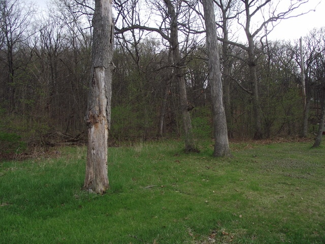 LOT012 Tuscola Ave, Saint Charles IL, 60174 land for sale