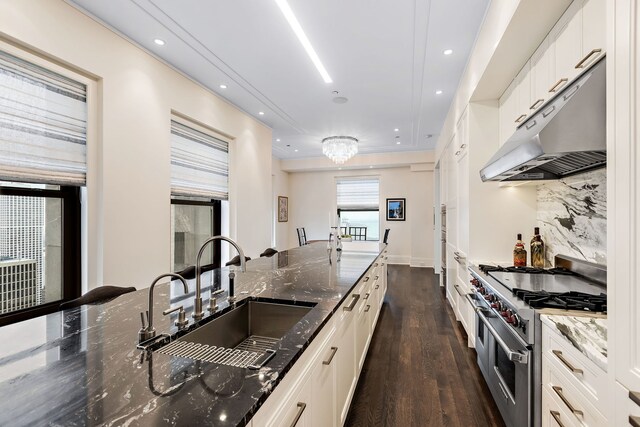 159 E Walton Pl Unit Ph, Chicago, IL 60611 - kitchen with under cabinet range hood, range with two ovens, a sink, dark wood-type flooring, and dark stone countertops