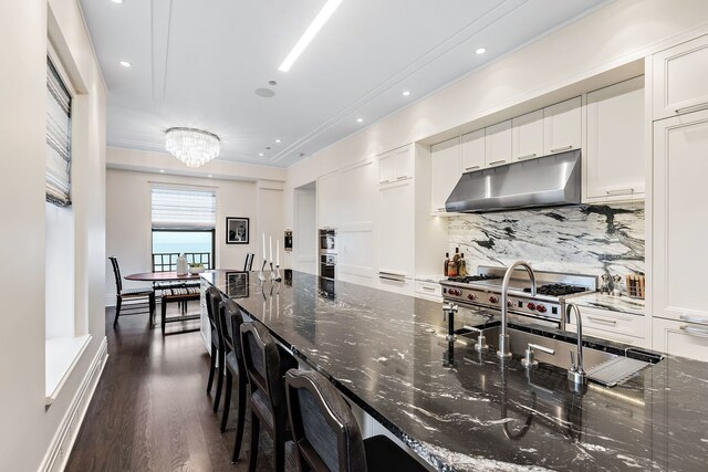 159 E Walton Pl Unit Ph, Chicago, IL 60611 - kitchen featuring under cabinet range hood, backsplash, white cabinetry, dark wood-type flooring, and dark stone countertops