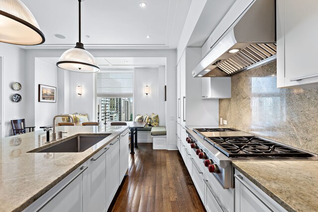 kitchen featuring a sink, white cabinets, ventilation hood, dark wood-style floors, and stainless steel gas stovetop