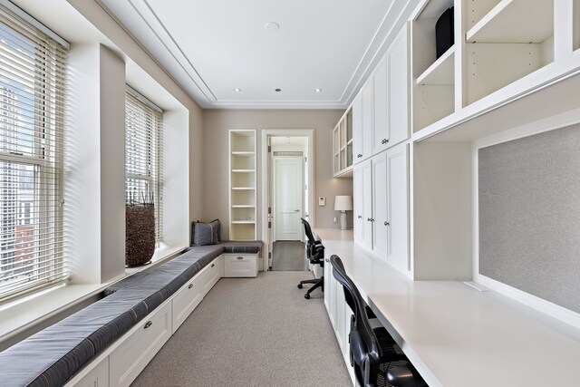 office space featuring a healthy amount of sunlight, built in study area, and carpet flooring