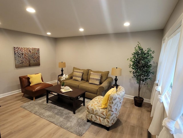 living room with a wealth of natural light and light wood-type flooring