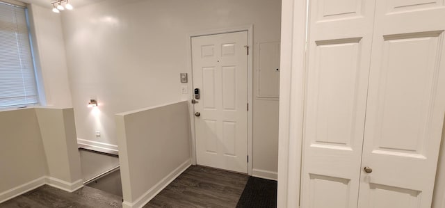 entryway with dark hardwood / wood-style flooring