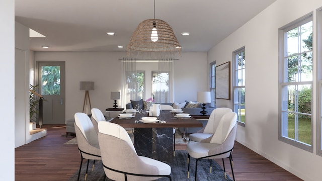 dining room featuring a wealth of natural light and dark hardwood / wood-style flooring