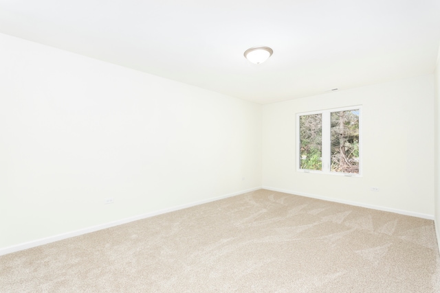 spare room with light carpet