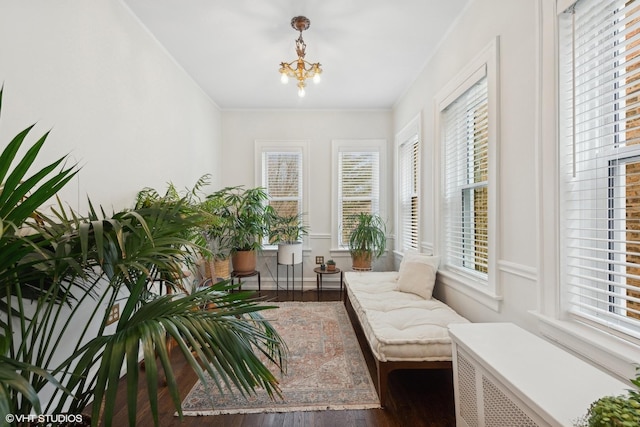 living area featuring crown molding, radiator heating unit, dark hardwood / wood-style floors, and a chandelier