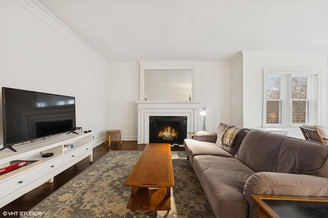 living room featuring a fireplace, ornamental molding, and dark hardwood / wood-style floors