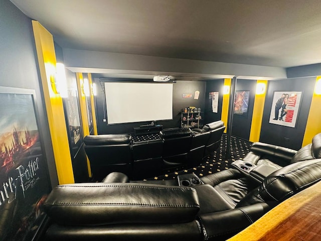 36W461 Binnie Rd, Dundee, IL 60118 - view of cinema room