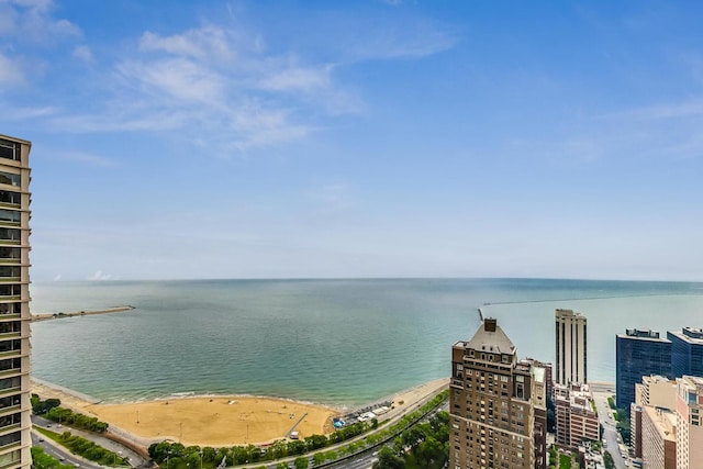 water view featuring a beach view