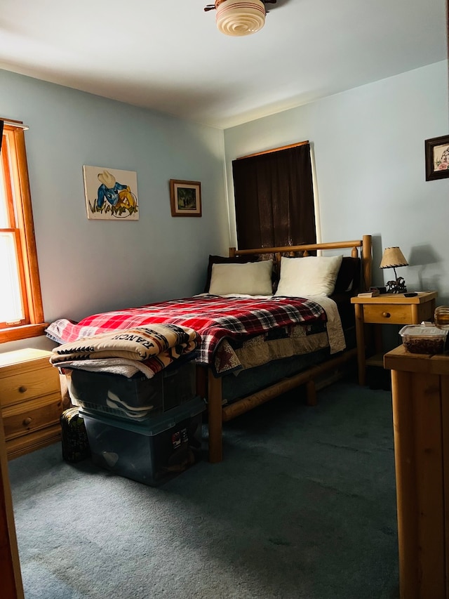 bedroom with dark carpet