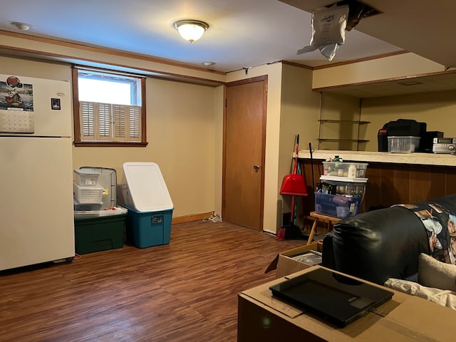 office featuring crown molding and dark wood-type flooring