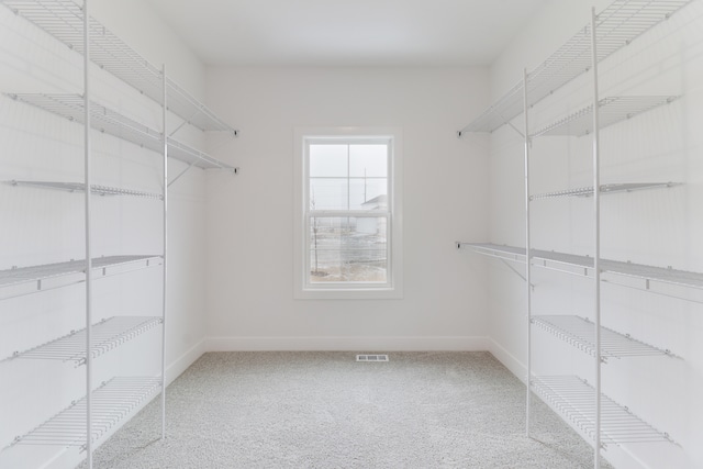 walk in closet featuring light colored carpet