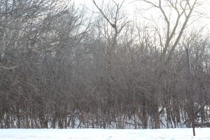 930 N Fairfield Rd, Round Lake Beach, IL 60073 - photo 1